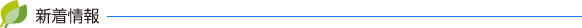 新着情報