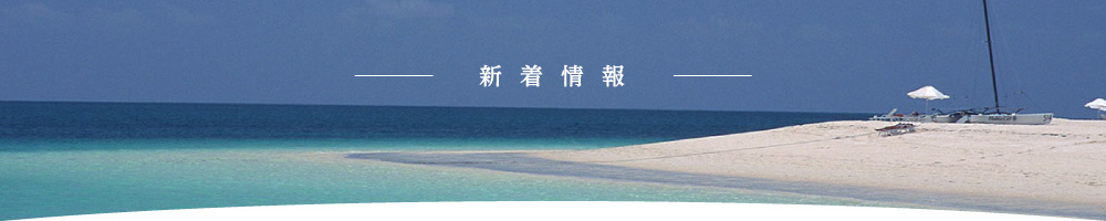 新着情報